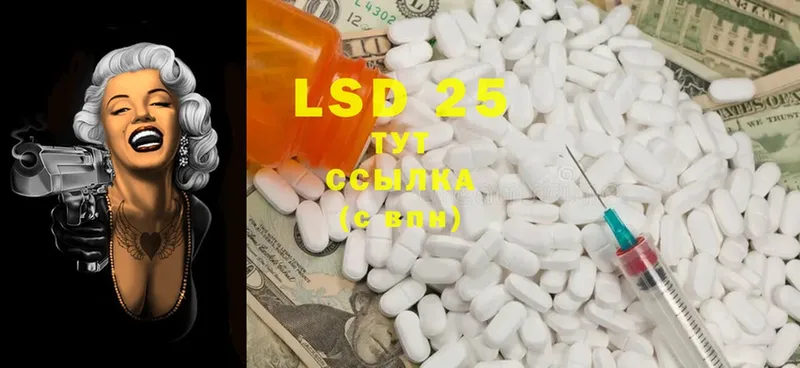 shop наркотические препараты  Котельнич  LSD-25 экстази ecstasy 